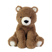 Load image into Gallery viewer, Sierra Sky Brown Plush Bear Stuffed Animal Toy - Wally

