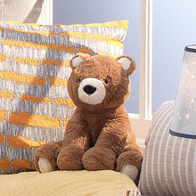 Load image into Gallery viewer, Sierra Sky Brown Plush Bear Stuffed Animal Toy - Wally
